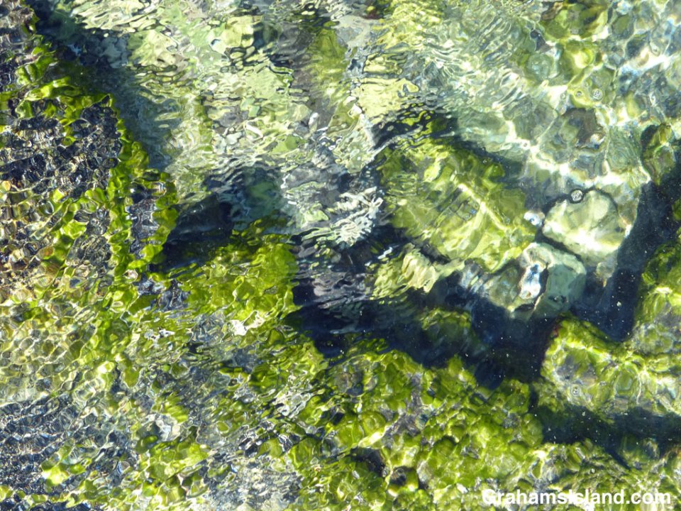 Abstracts: Watercolor