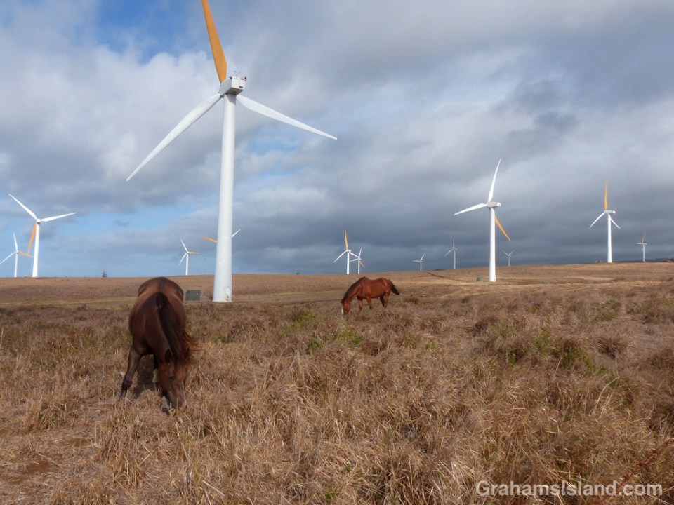 Horses and Turbines