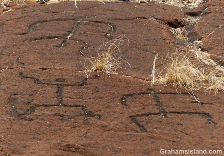 Puako Petroglyphs