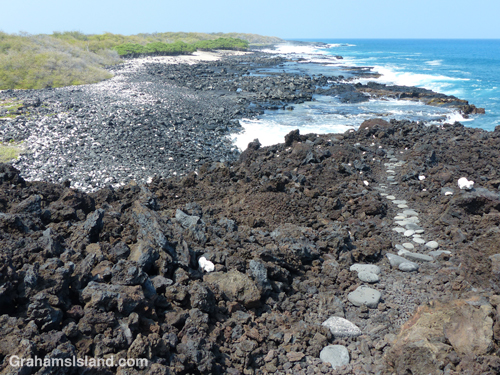 The lava bench before Mano Point