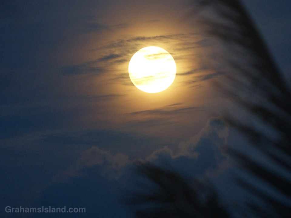A full moon on the rise