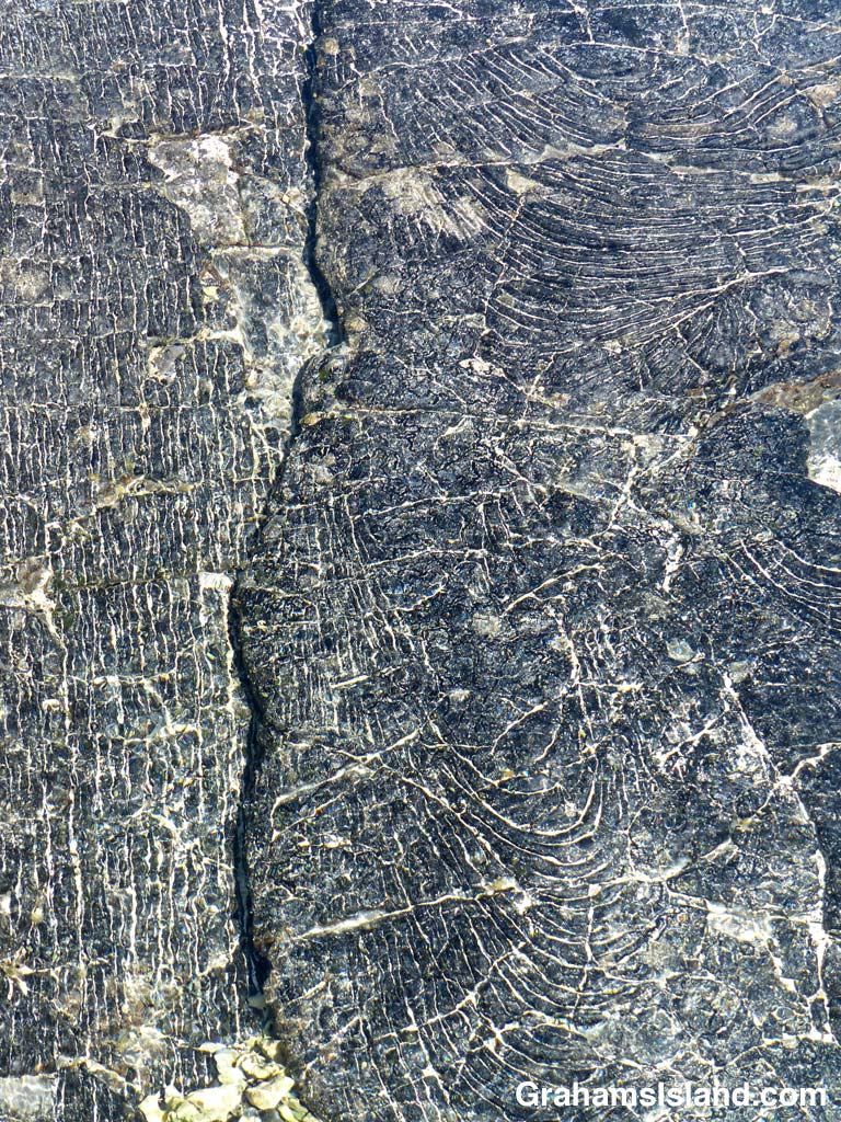 Black lava in a tide pool