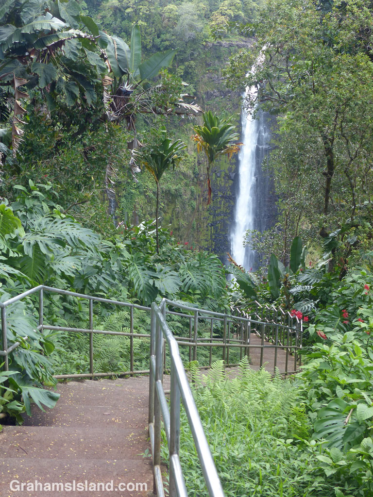 The walkway at Akaka Falls
