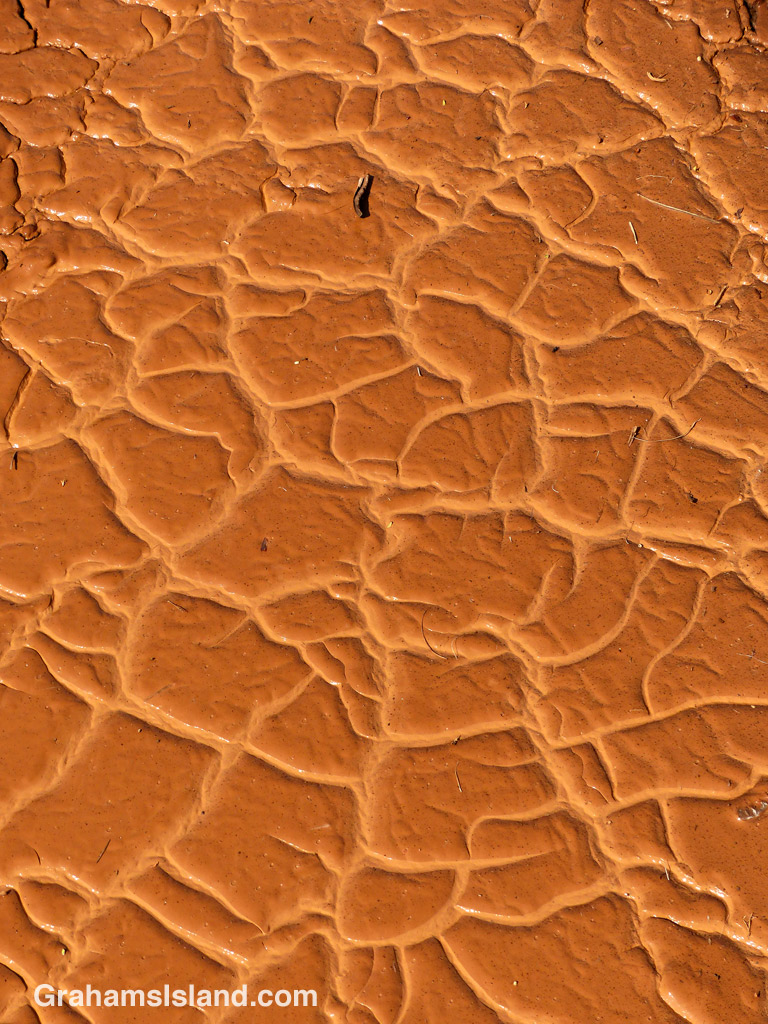 A mud puddle dries on the Big Island