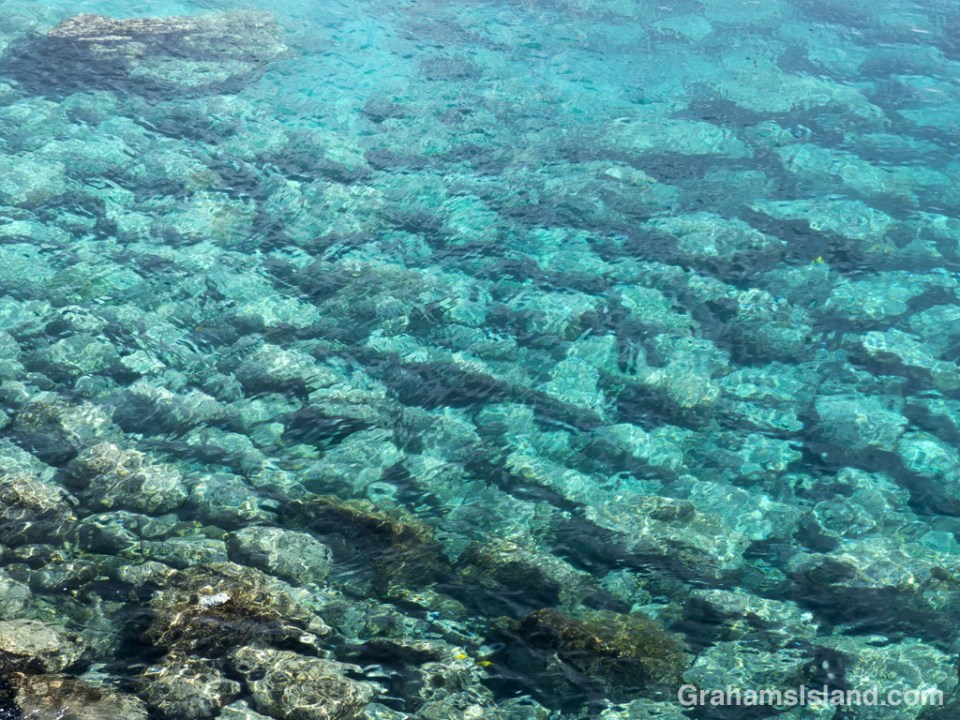Looking down onto clear blue waters close to shore.