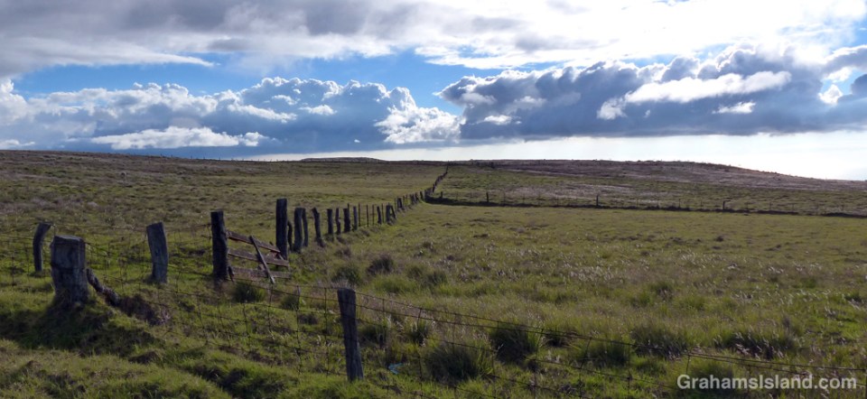 Late afternoon on the lower slopes of Mauna Kea with a fence line stretching away toward the ocean.