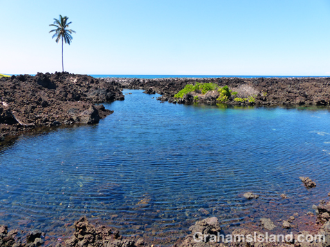 The freshwater pool behind Akahu Kaimu beach