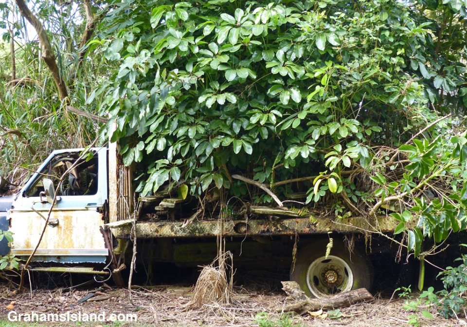 This looks like a landscaper’s truck all loaded up and ready to go. Well, perhaps not that last bit.