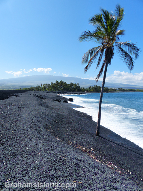 Keawaiki Beach with its lone palm tree and Hualalai volcano in the background.