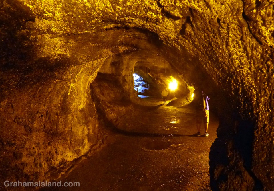 The interior of Thurston Lava Tube at Hawaii Volcanoes National Park.