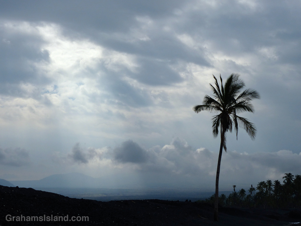 The lone palm at Keawaiki stands out against a cloudy sky.