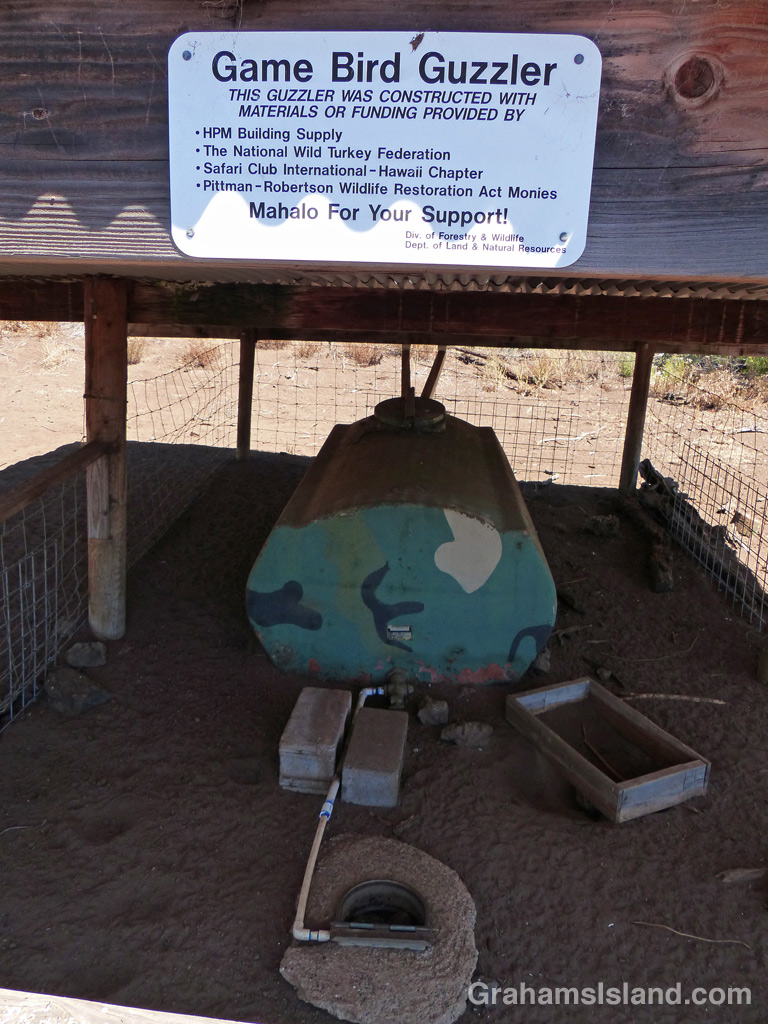 A game bird guzzler collects water for wild birds