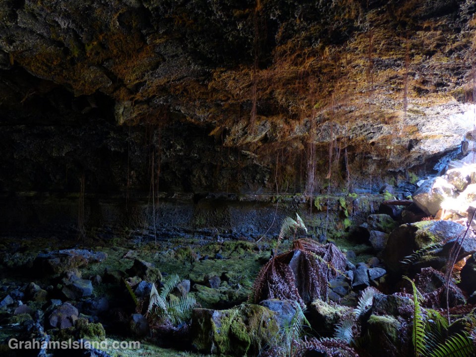 The entrance to Emesine Lava Tube on the Powerline Trail off Saddle Road.