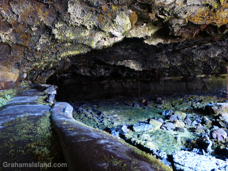 The entrance to Emesine Lava Tube on the Powerline Trail off Saddle Road.
