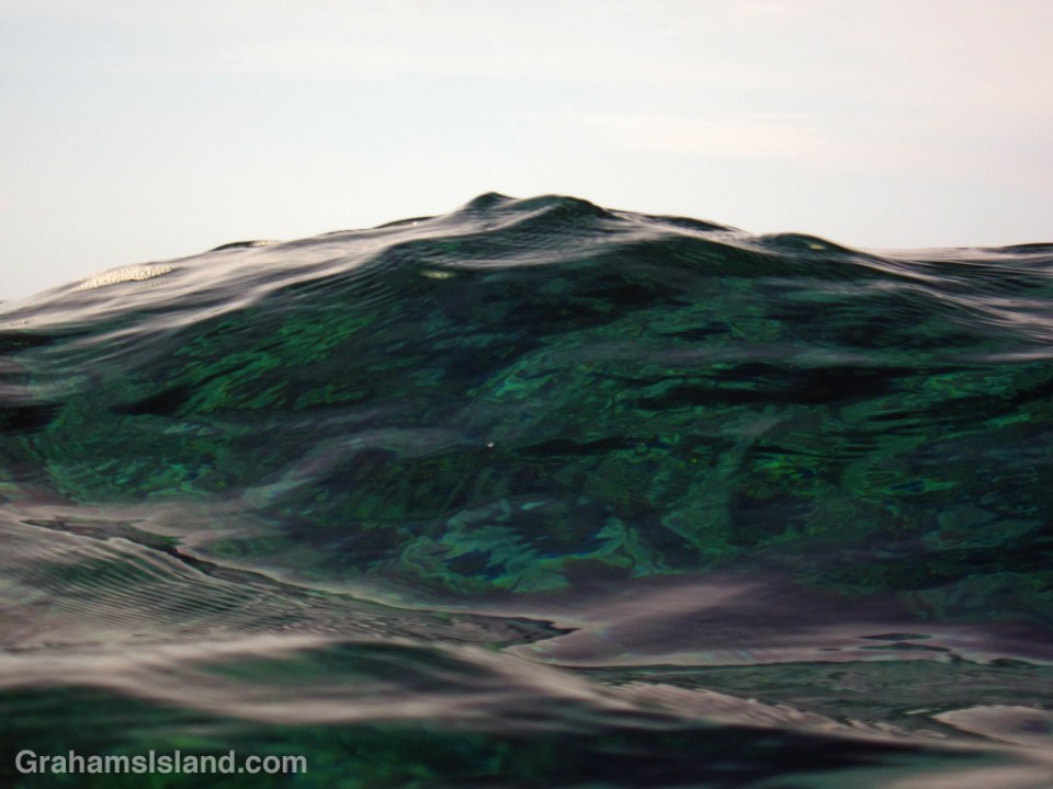 A wave looks just like a mountain