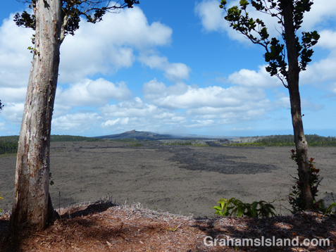 The Puʻu ʻŌʻō vent from the Nāpau Crater overlook.