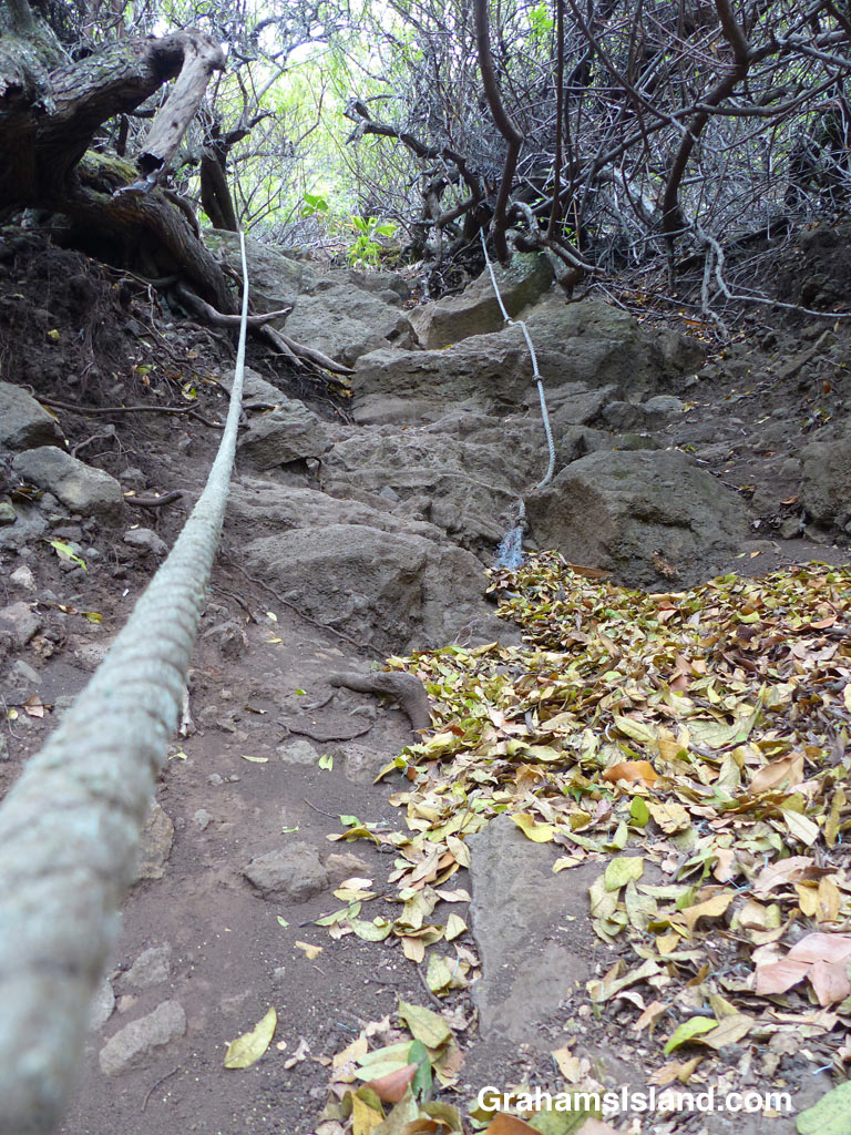 A steep part of the rope section on Honokane Nui Valley trail