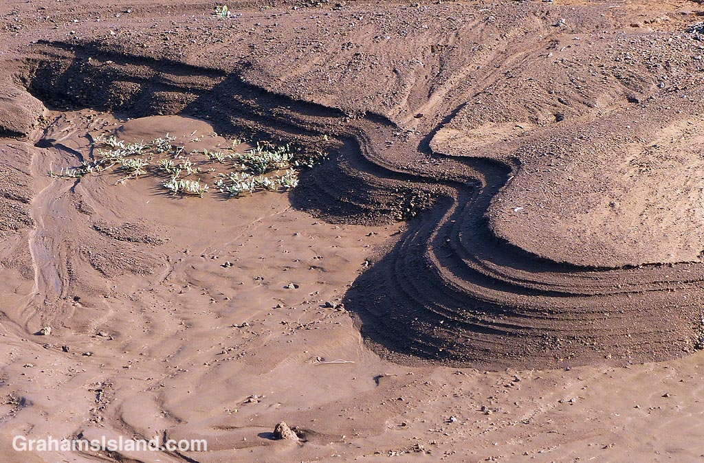 A bluff formed by heavy rain.