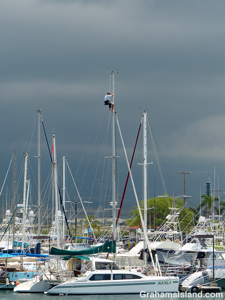 Honokohau harbor is the main small boat harbor on the west side of the Big Island.