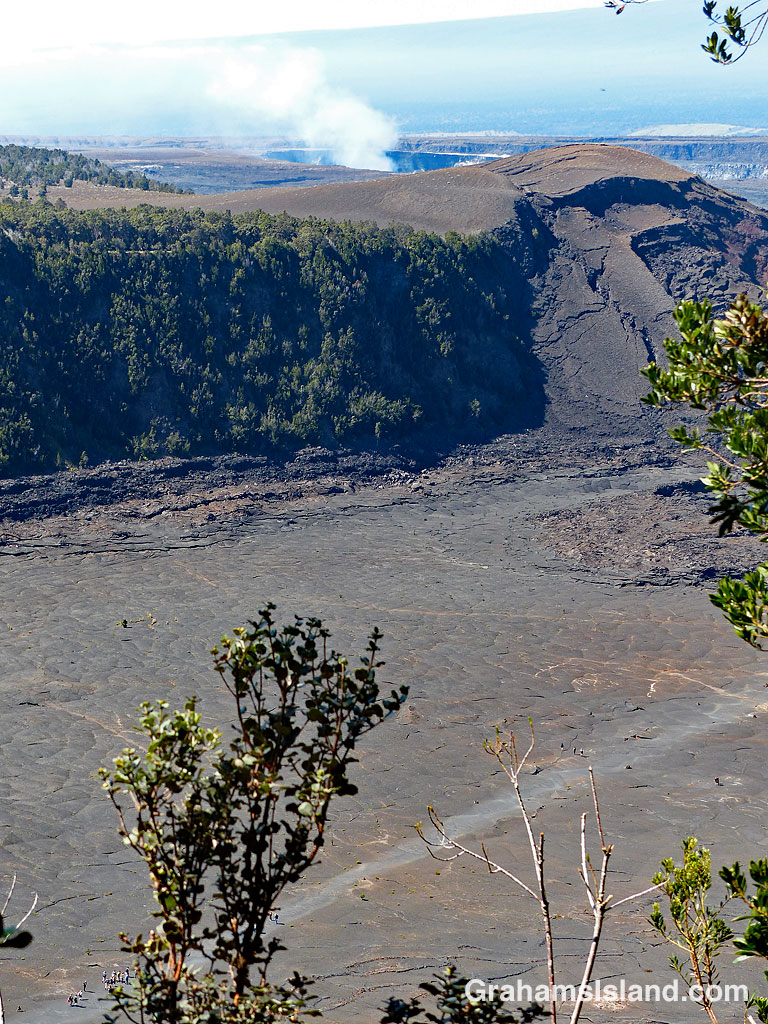 A group of people, looking very small, walk the trail across Kilauea Iki Craterfloor.