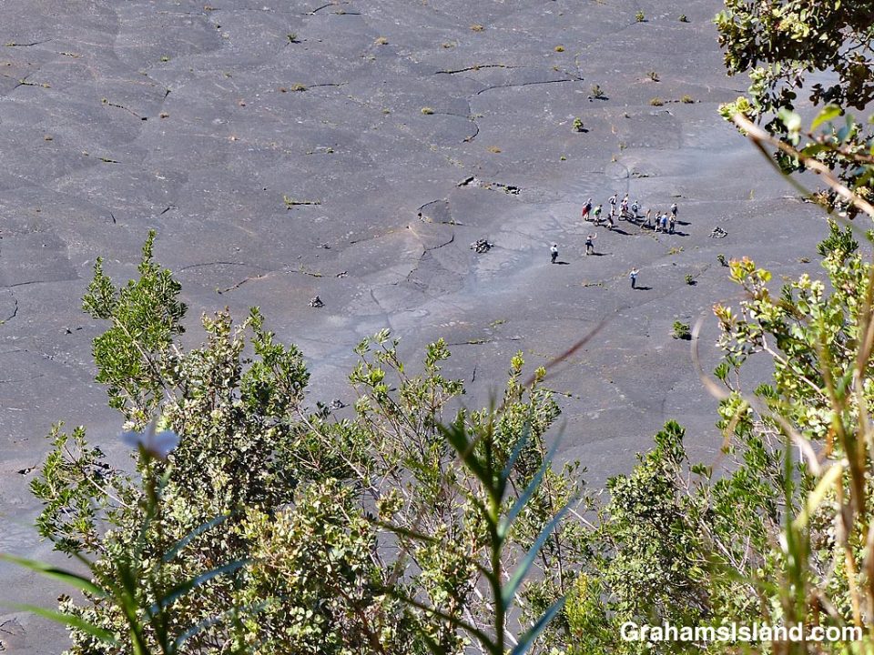 A group of people, looking very small, walk the trail across Kilauea Iki Craterfloor.