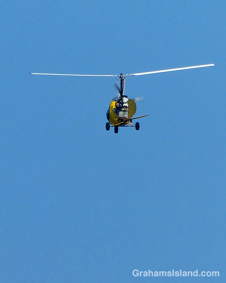 A mini-helicopter takes to the air.