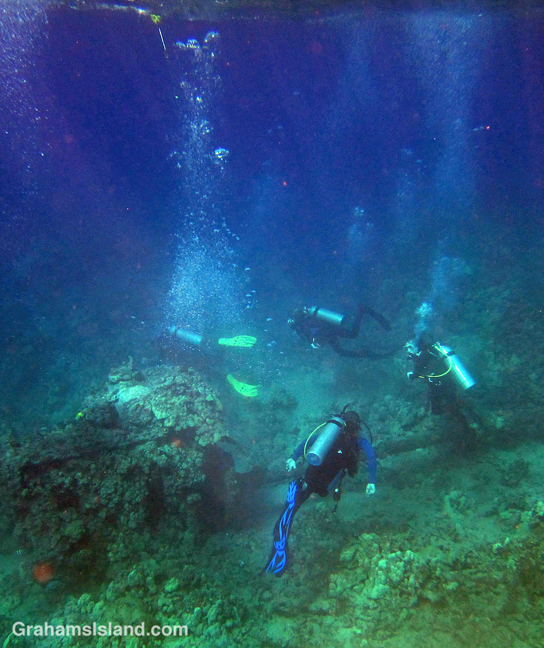 Divers in the waters off the Big Island of Hawaii.