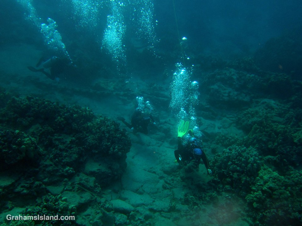 Divers in the waters off the Big Island of Hawaii.
