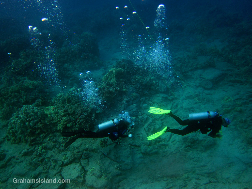 Divers in the waters off the Big Island of Hawaii.