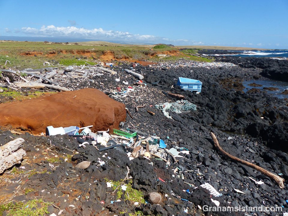 Beach debris Big Island