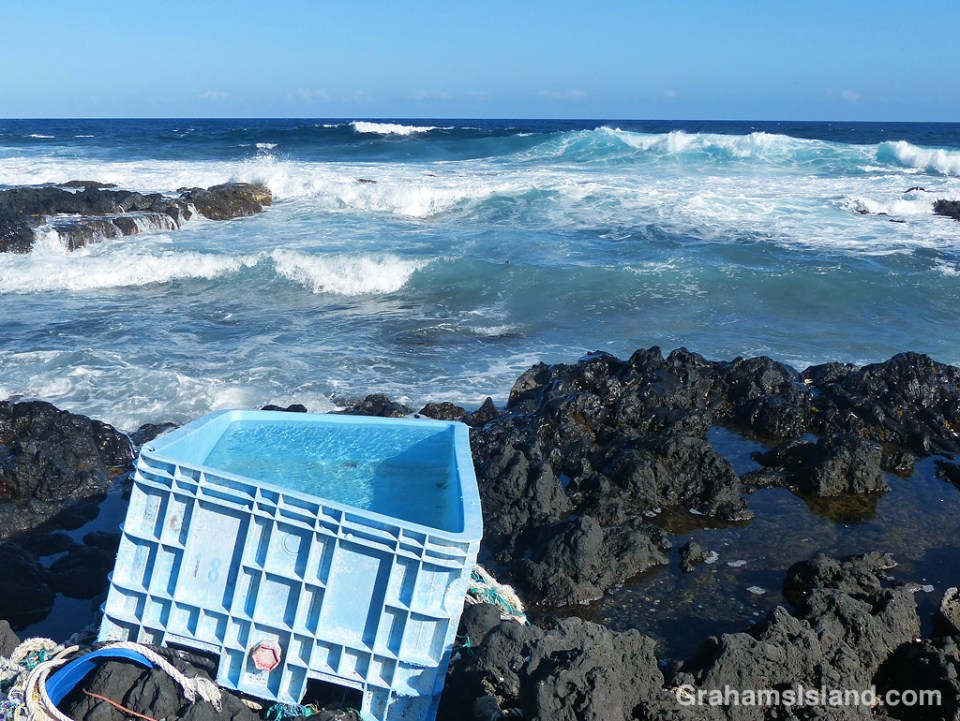 Beach debris near South Point