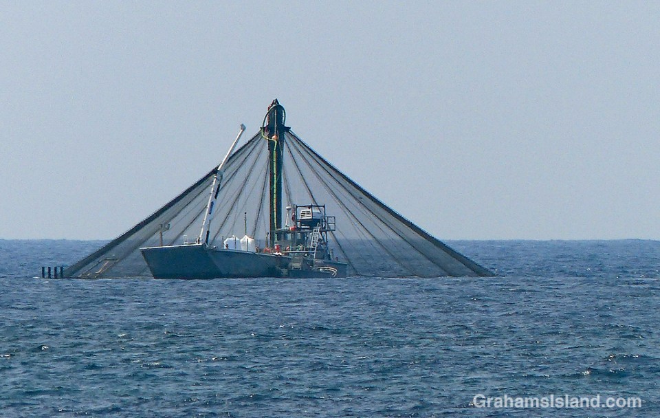 Fish farm net pen and boat