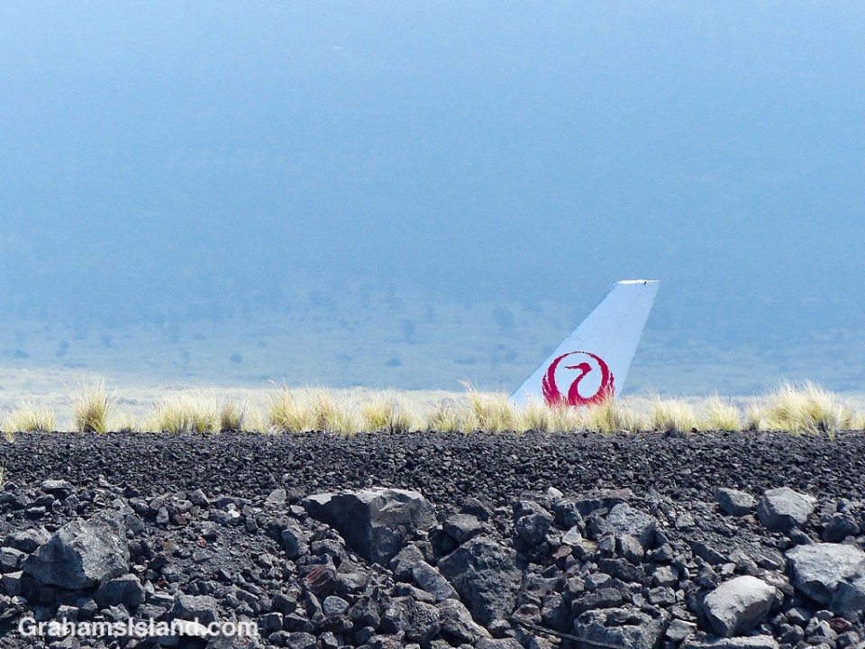 Japan Airlines plane tail