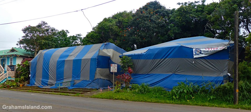 Tented for termites