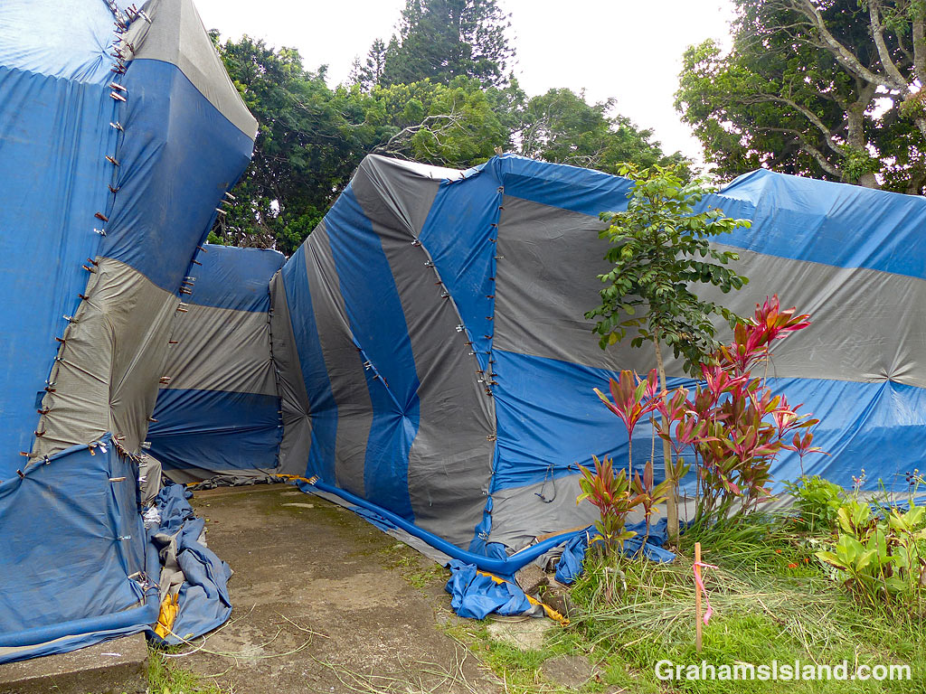 Tenting for termites