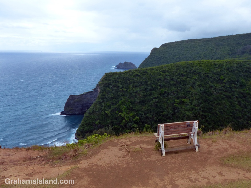 Bench overlooking Honokane Nui Valley