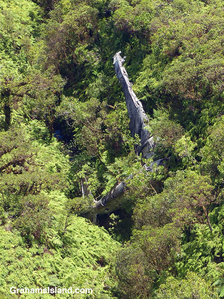 Better-Days-Wrecked Bomber in ravine