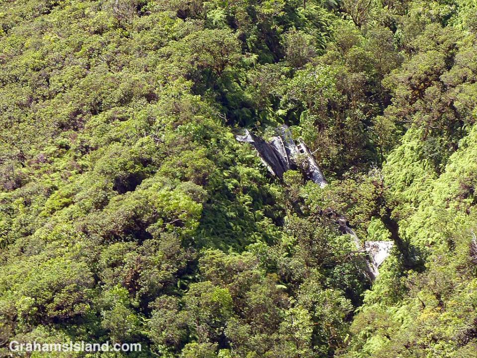 Better-Days-Wrecked Bomber in trees