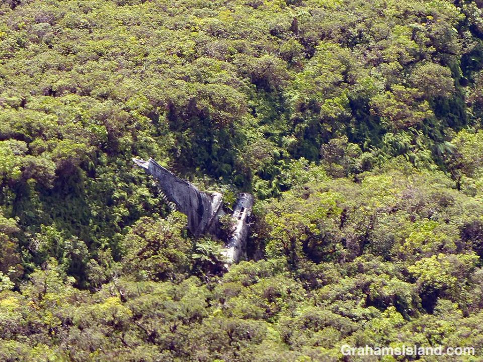 Better-Days-Wrecked Bomber