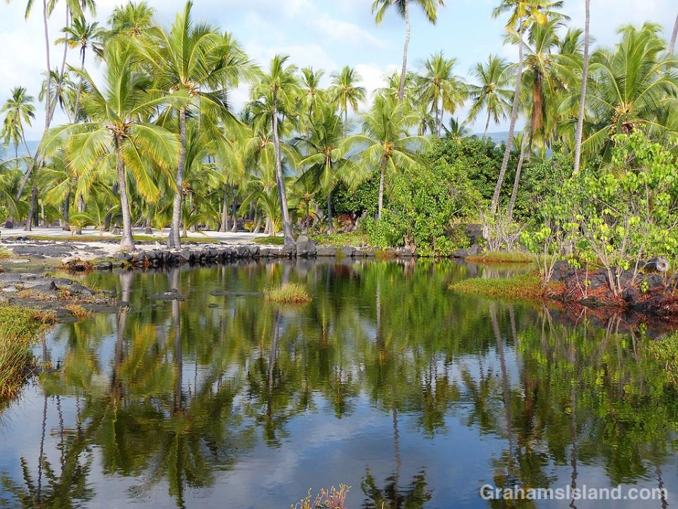 Place of Refuge pool