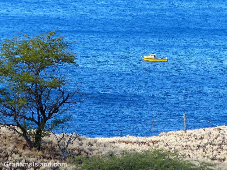 Yellow boat on blue water