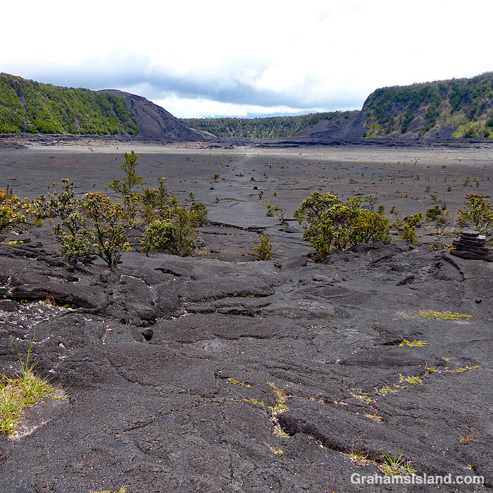 Kilauea Iki Trail in Hawaii Volcanoes National Park