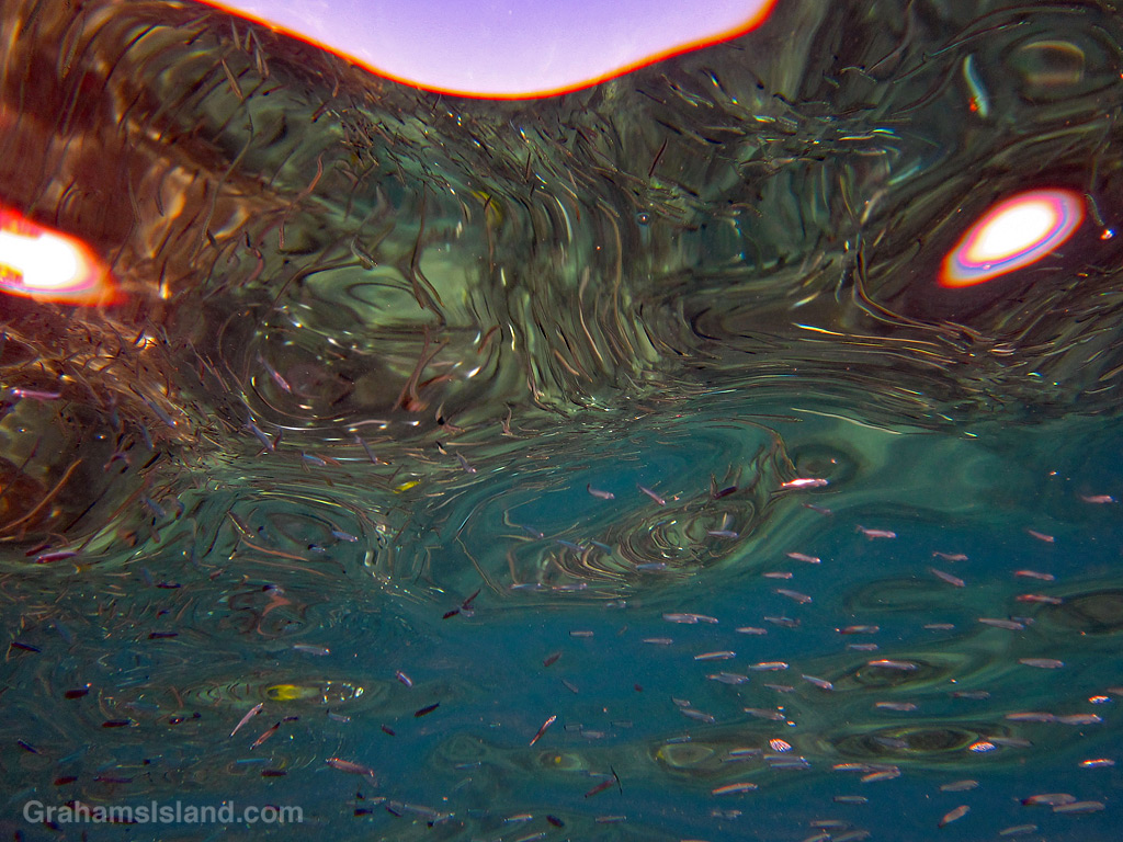 Abstracts: Water painting | Graham's Island