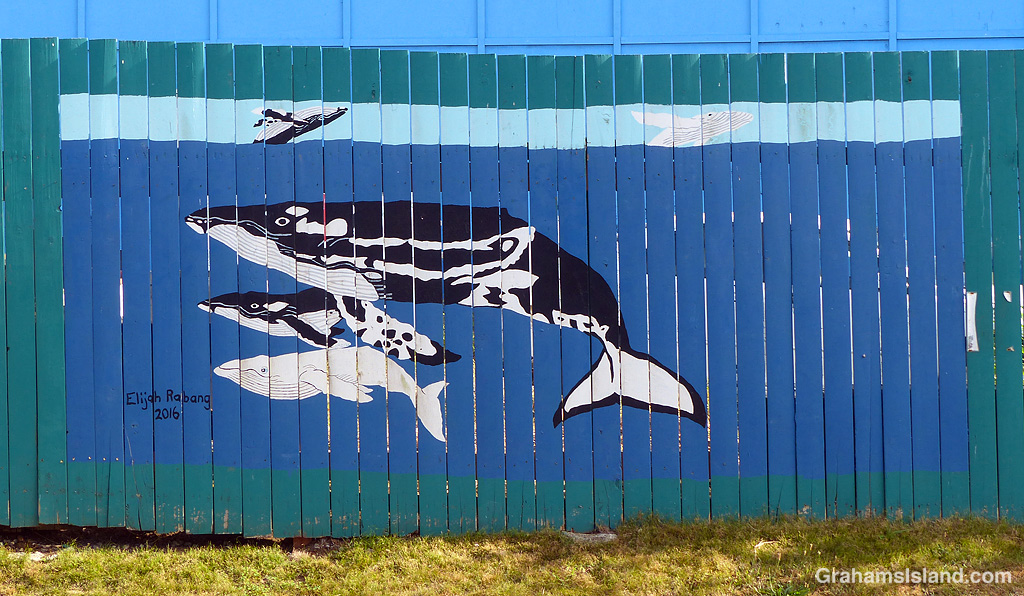 Street art in Hawi, Hawaii