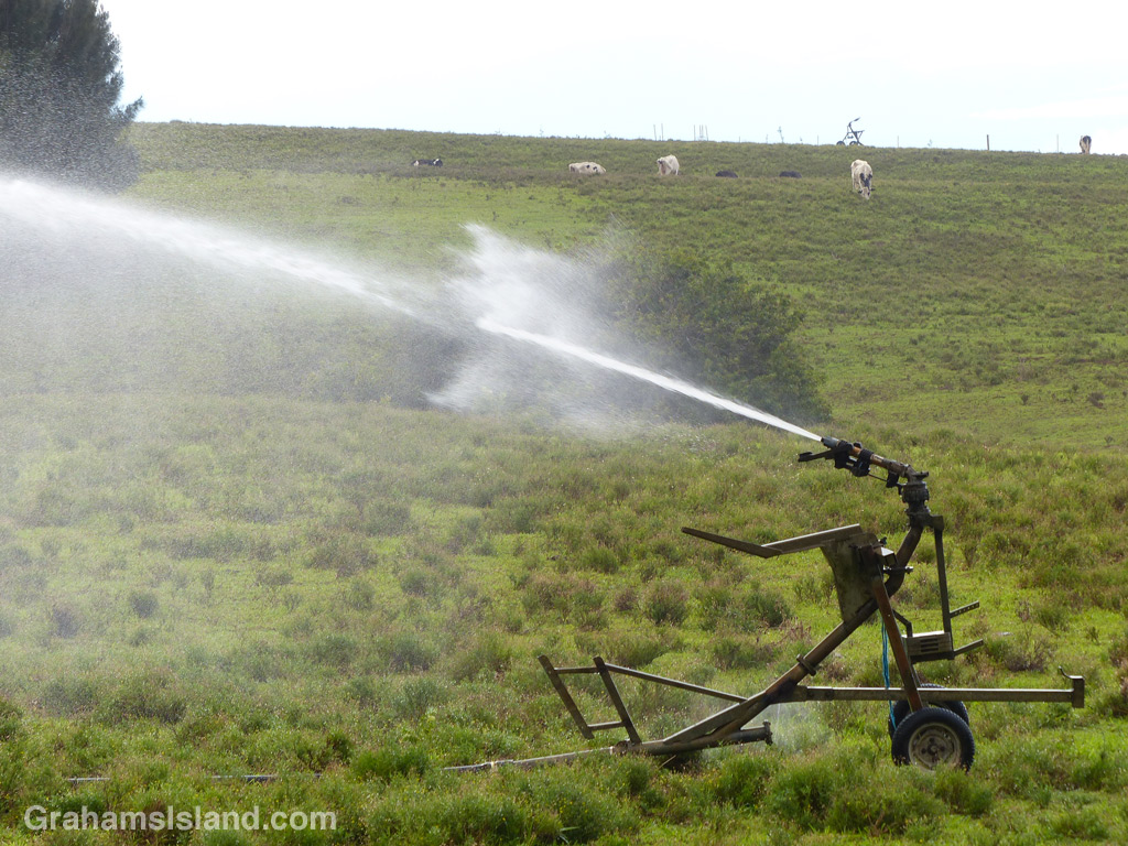 Irrigation in North Kohala, Hawaii