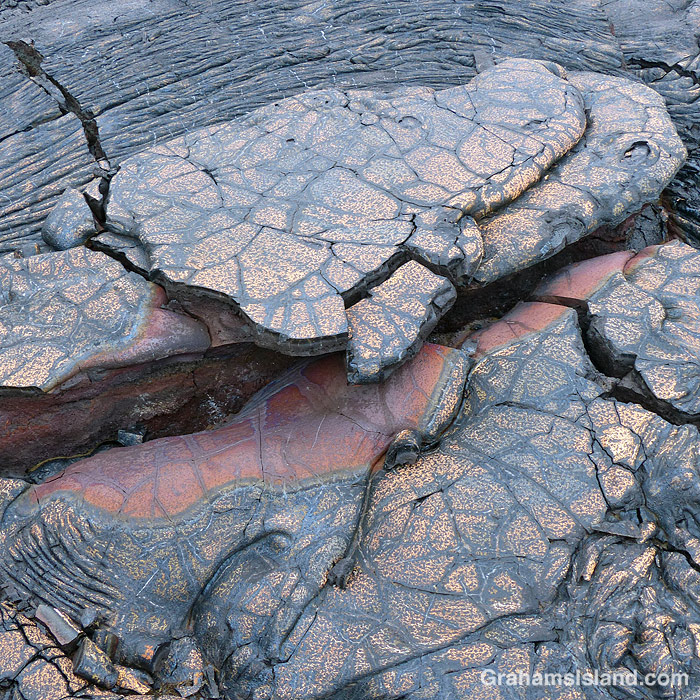 Colorful Lava Rocks Uplifting moments from 2020 | Graham's Island