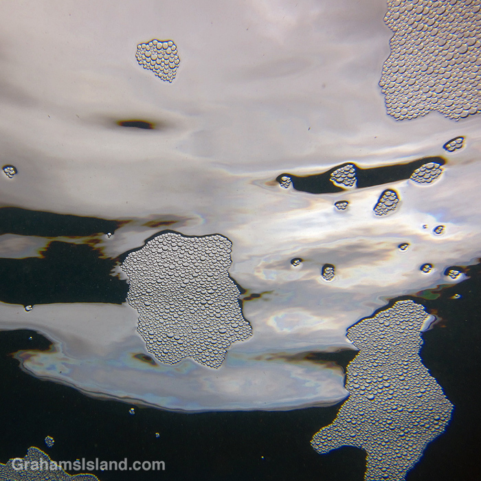 Bubbles on the surface of the ocean