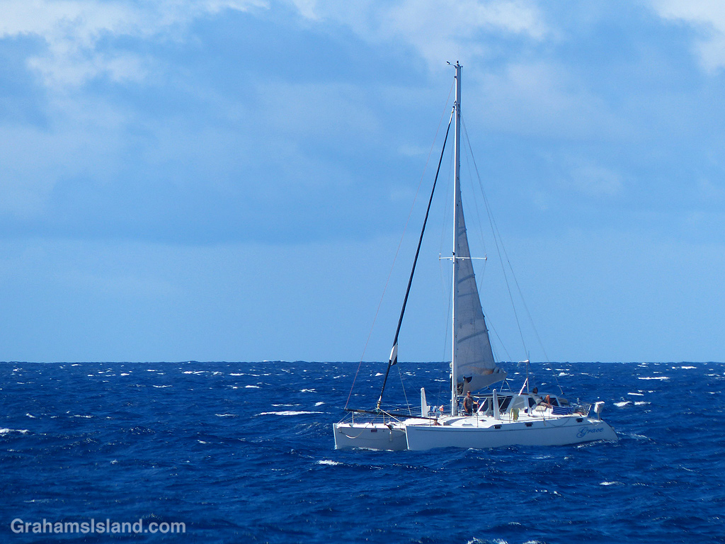 A catamaran sails off the coast of the Big Island, Hawaii