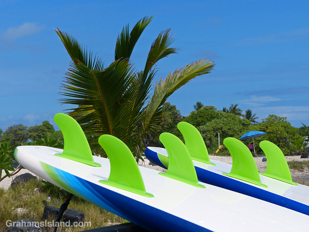 Fins on a surfboard
