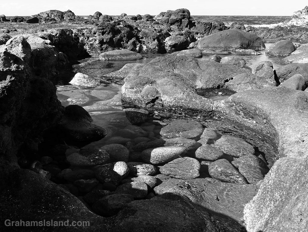A tide pool on the North Kohala coast, Hawaii